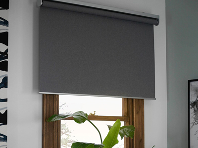 Window Blinds